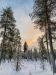 Talvisen Ivalon matkan huippuhetkiä ja reissuvinkkejä